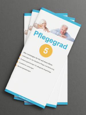 Beratungsflyer - Pflegegrade 1-5 Auflage 2026